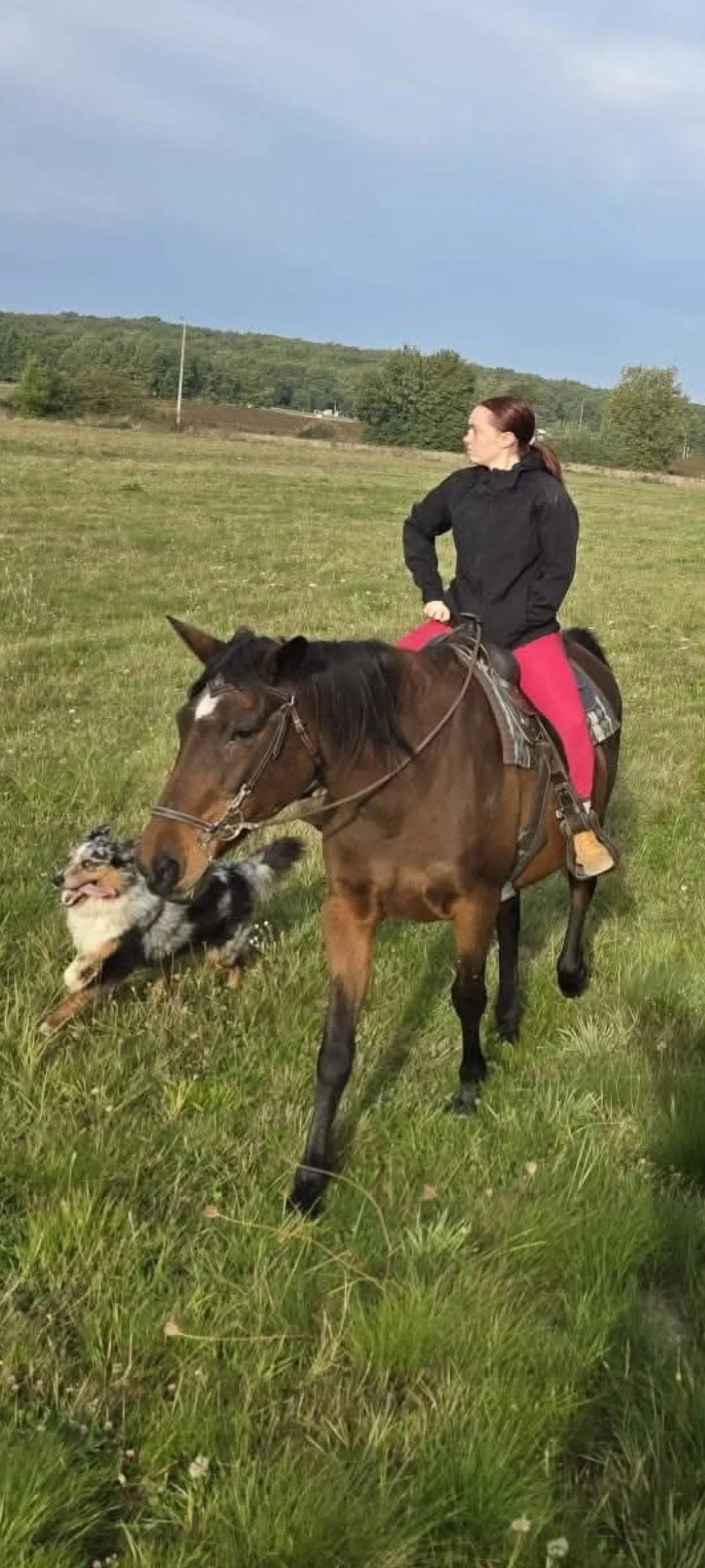 Screenshot 2025 10 20 08 34 06 088 com miui gallery 2